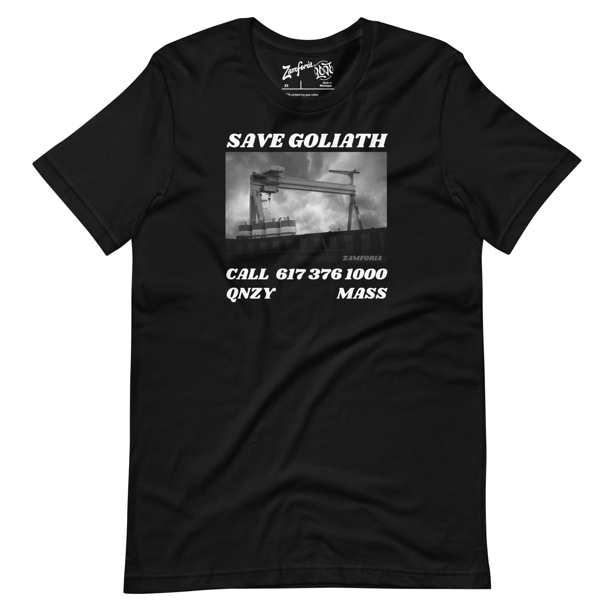 QNZY's "Save Goliath", V1